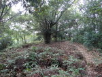 DSC03955