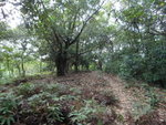 DSC03956