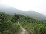 DSC02982