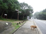 DSC03209