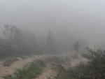 DSC03217