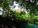 DSC03928