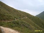 SUC57064