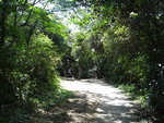 DSC05182