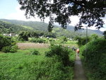 DSC06071