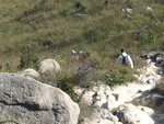 DSC00080
