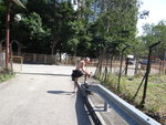 DSC00145