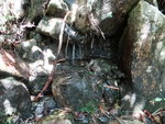 DSC01590