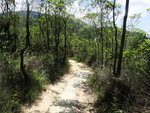 DSC01595