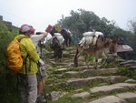 DSC06894