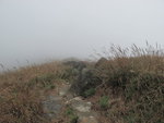 IMG_0701