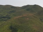 20151101_111935
