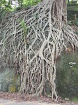 20160515_135640