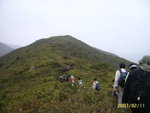 SUC54775
