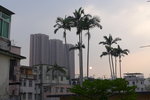L1100212