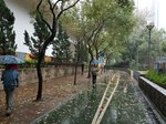 20170319_084137