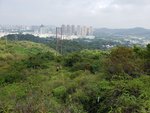20180429_093040