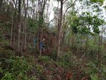 20181125_095047