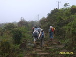 SUC59366