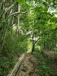 20190519_094055
