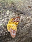 20190519_094636
