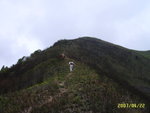 SUC50281