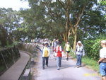 SUC55183