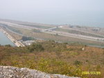 SUC55385