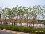 SUC55391