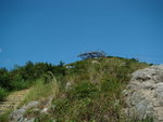 DSC00668