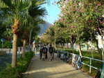 DSC05957