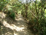 DSC06224