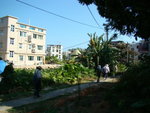 DSC06242