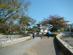 DSC06251