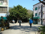 DSC06252