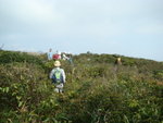 DSC08011