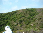 DSC09225