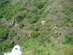 DSC09226