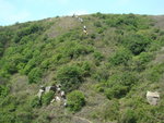 DSC09227