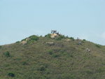 DSC09233