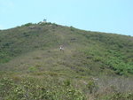 DSC09234