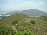 DSC09239