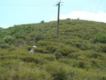 DSC09259
