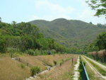 DSC09266
