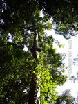 P1010037_大小 _大小