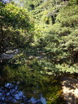 P1010156_大小 _大小