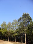 P1010020