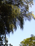 P1010043