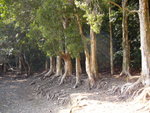 P1010079