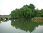 Quyuan Fenghe